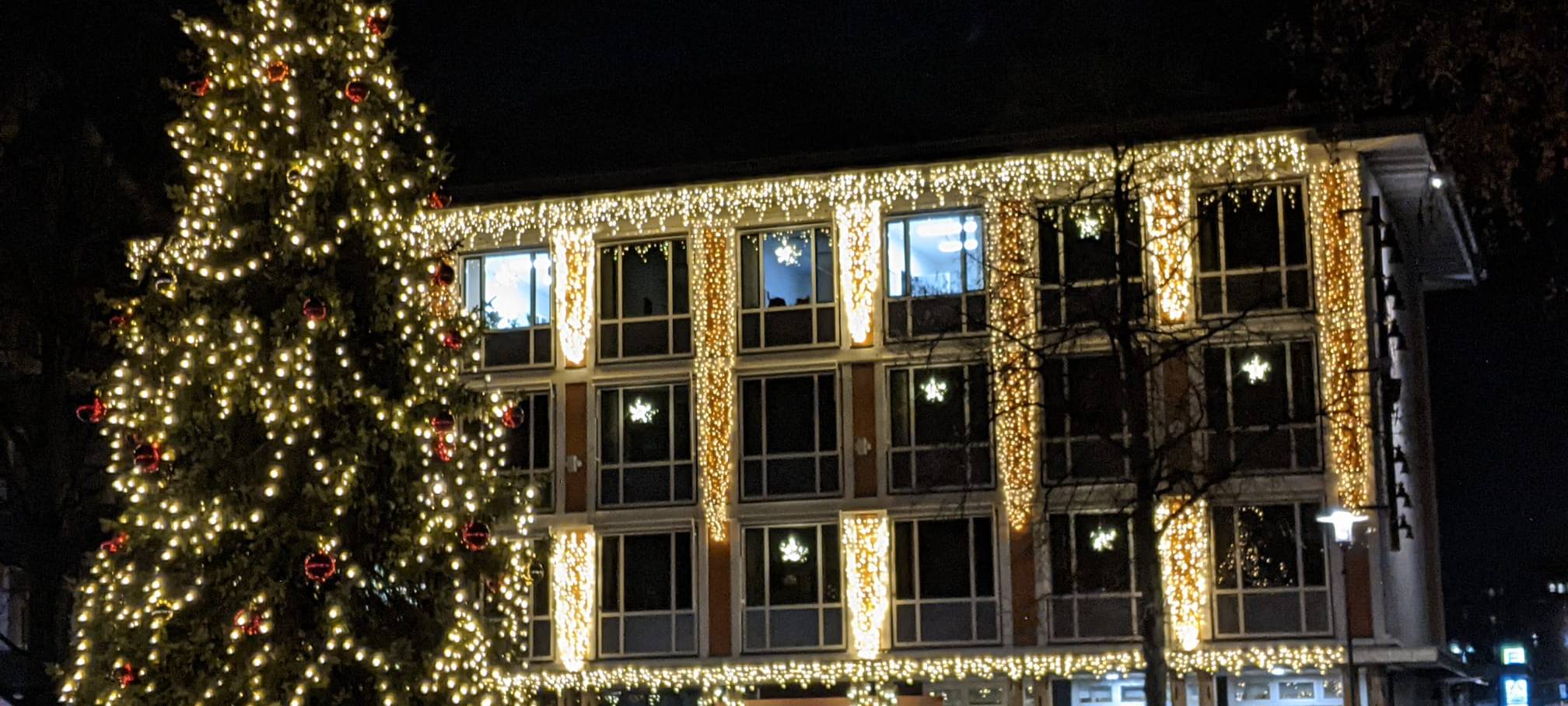 Wickede sucht Weihnachtsbaum für Marktplatz