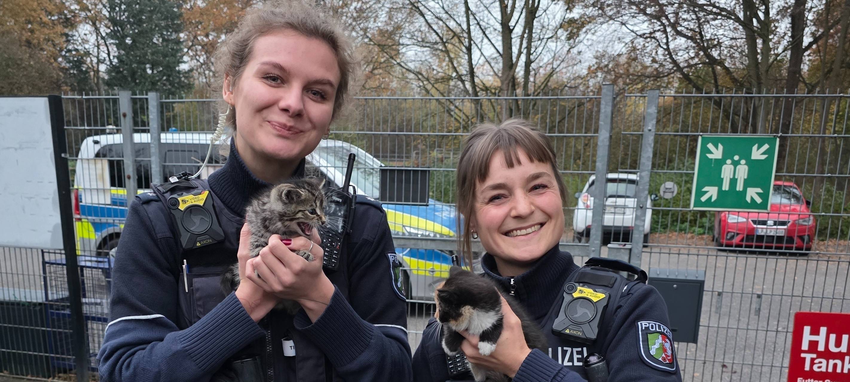 Geseke: Polizei rettet sechs ausgesetzte Katzenbabys