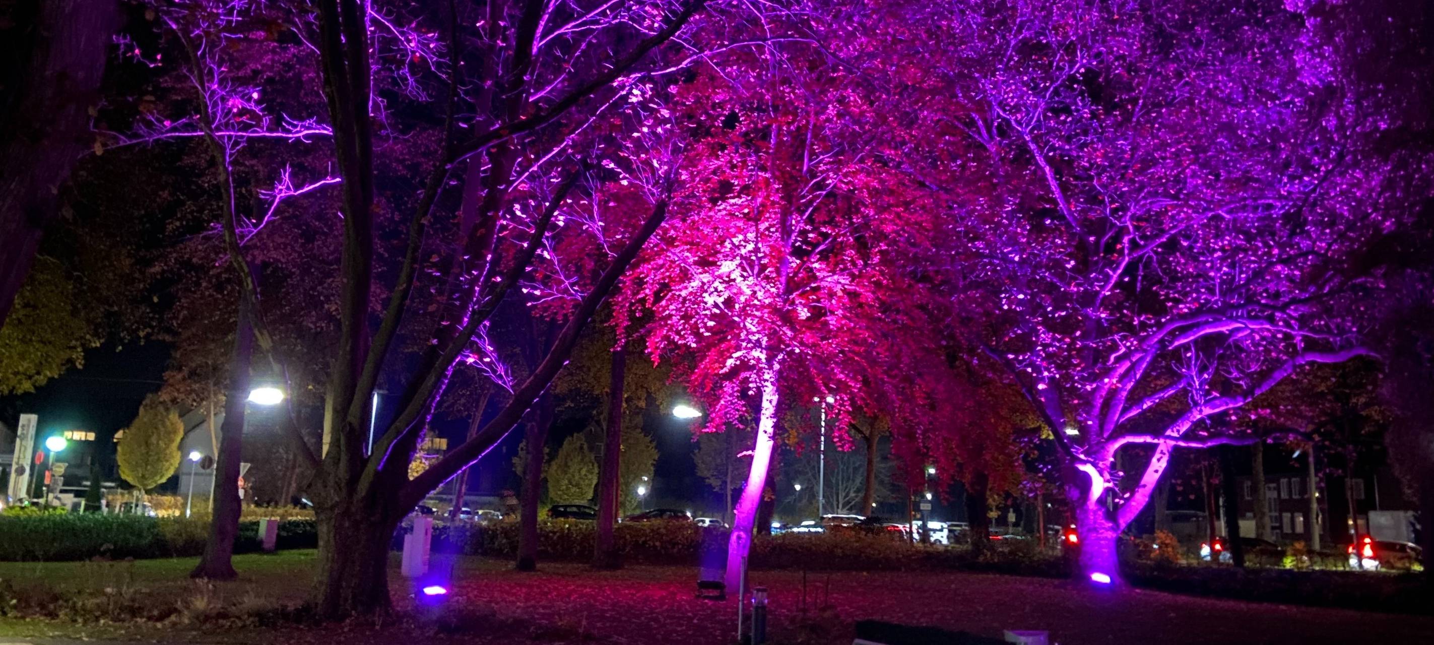 Lippstadt: Klinikum setzt lila Signal für Frühgeborene