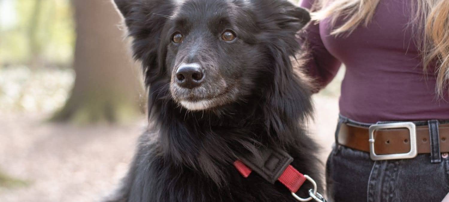 Reha mit Hund in der Dr. Becker Klinik Möhnesee