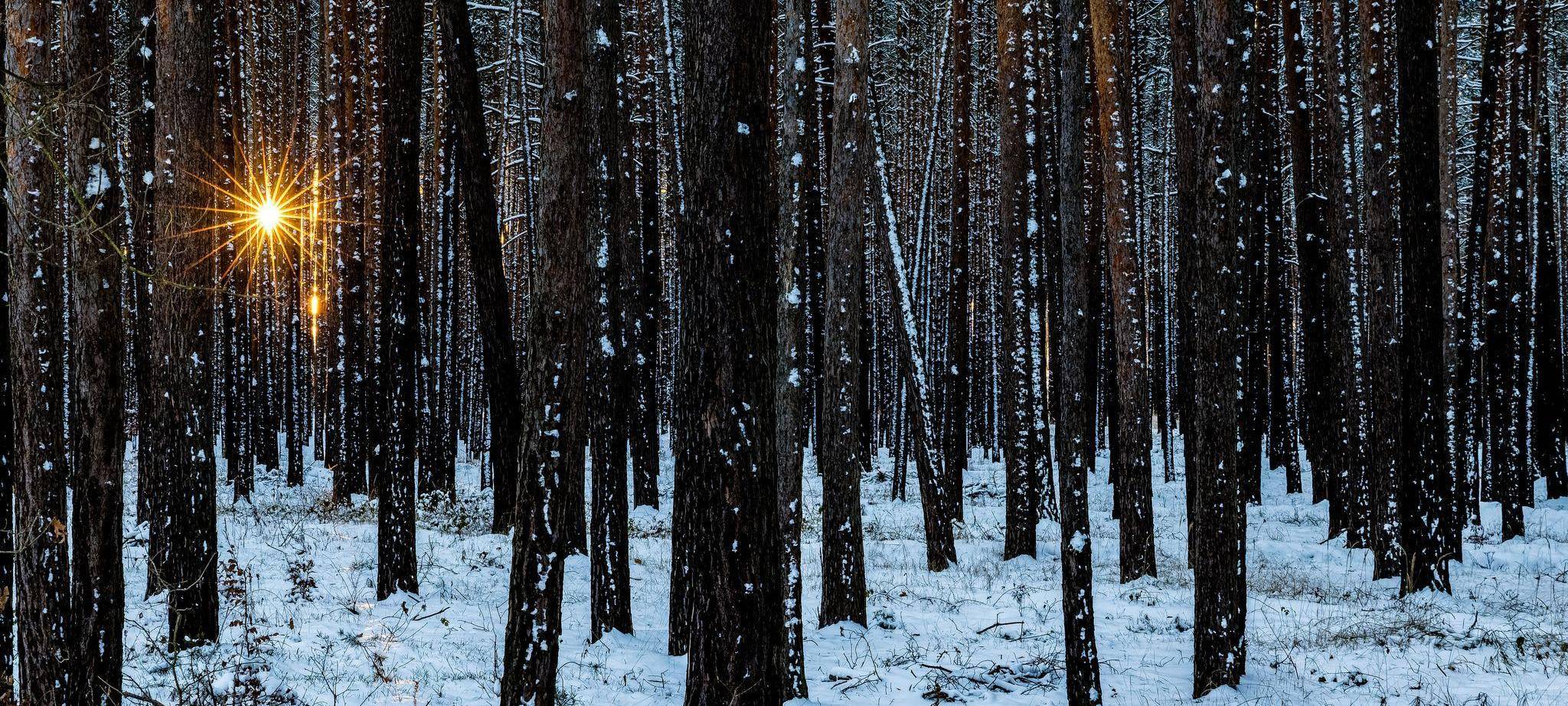 Winterwetter in Südbrandenburg