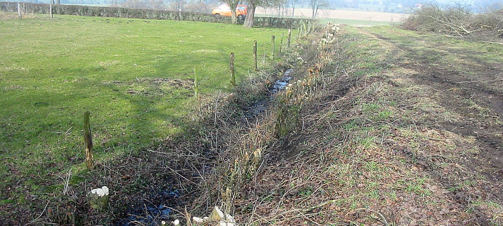 Heckenschnitt Kreis Soest: Letzte Chance bis März