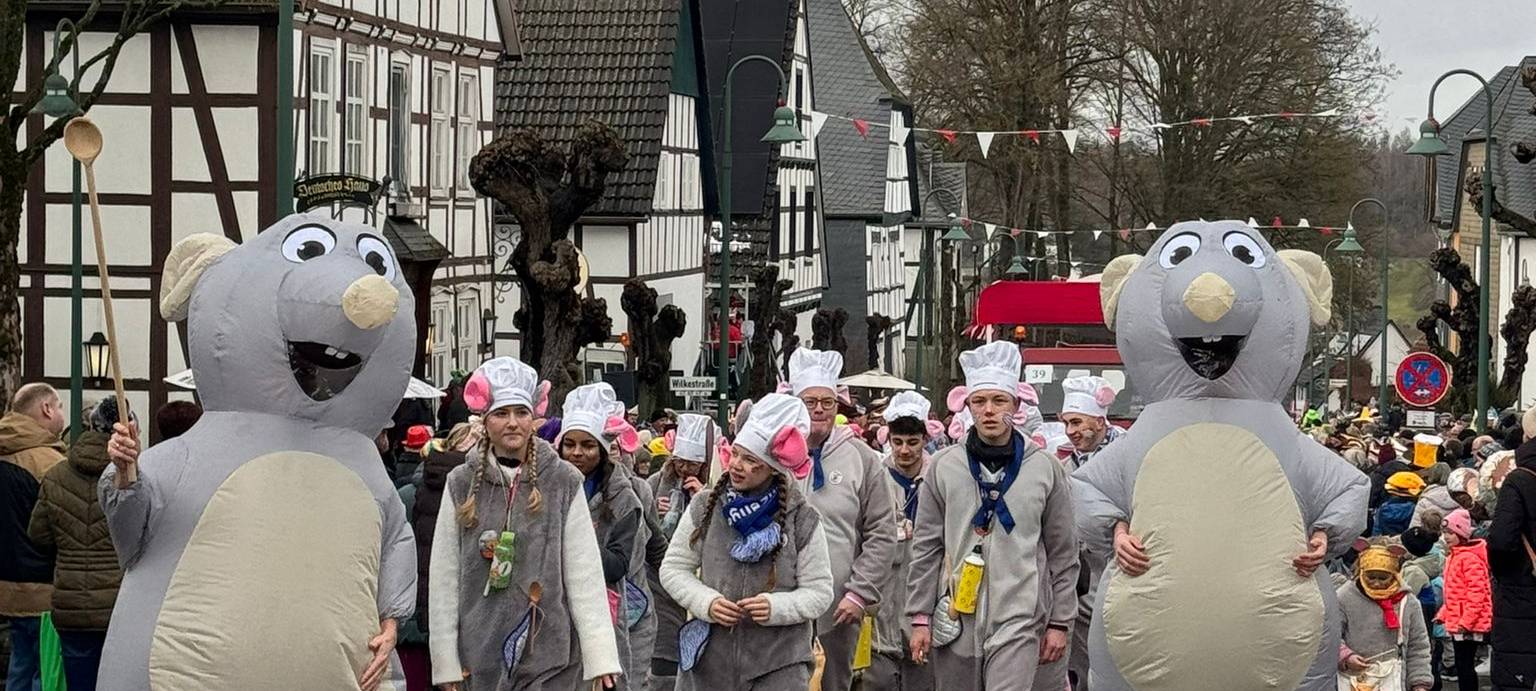 Die bunten Lindwürmer in der Übersicht