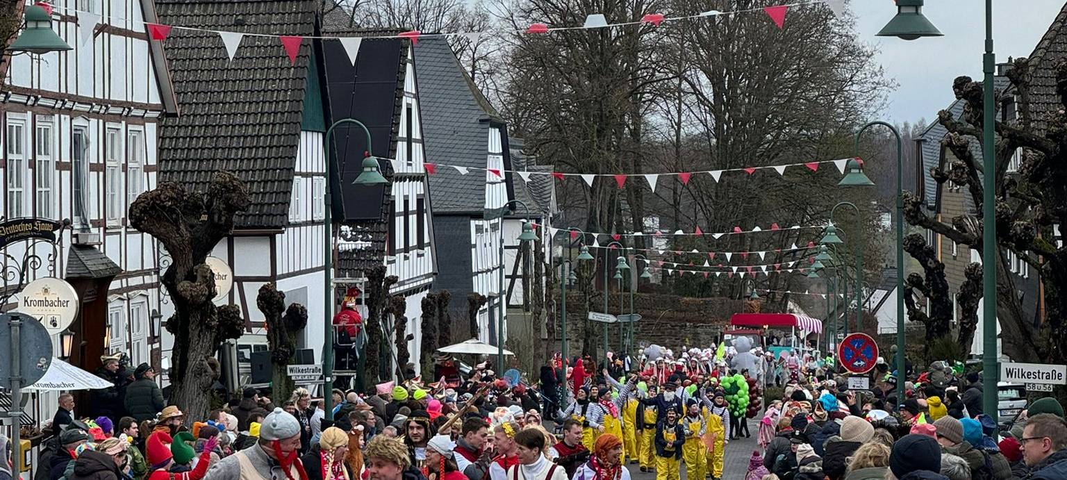 Die bunten Lindwürmer in der Übersicht