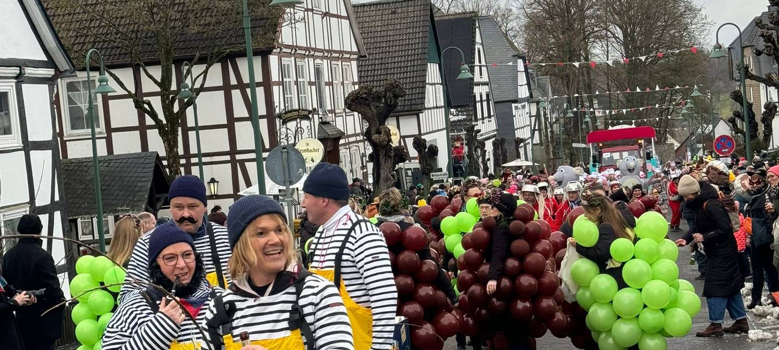 Die bunten Lindwürmer in der Übersicht