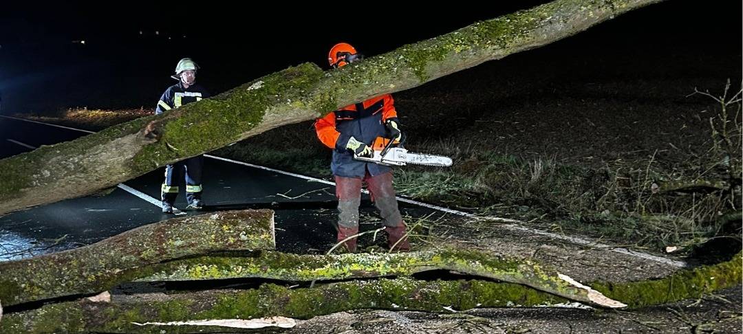 Ense: Baum blockiert Wickeder Straße in Waltringen