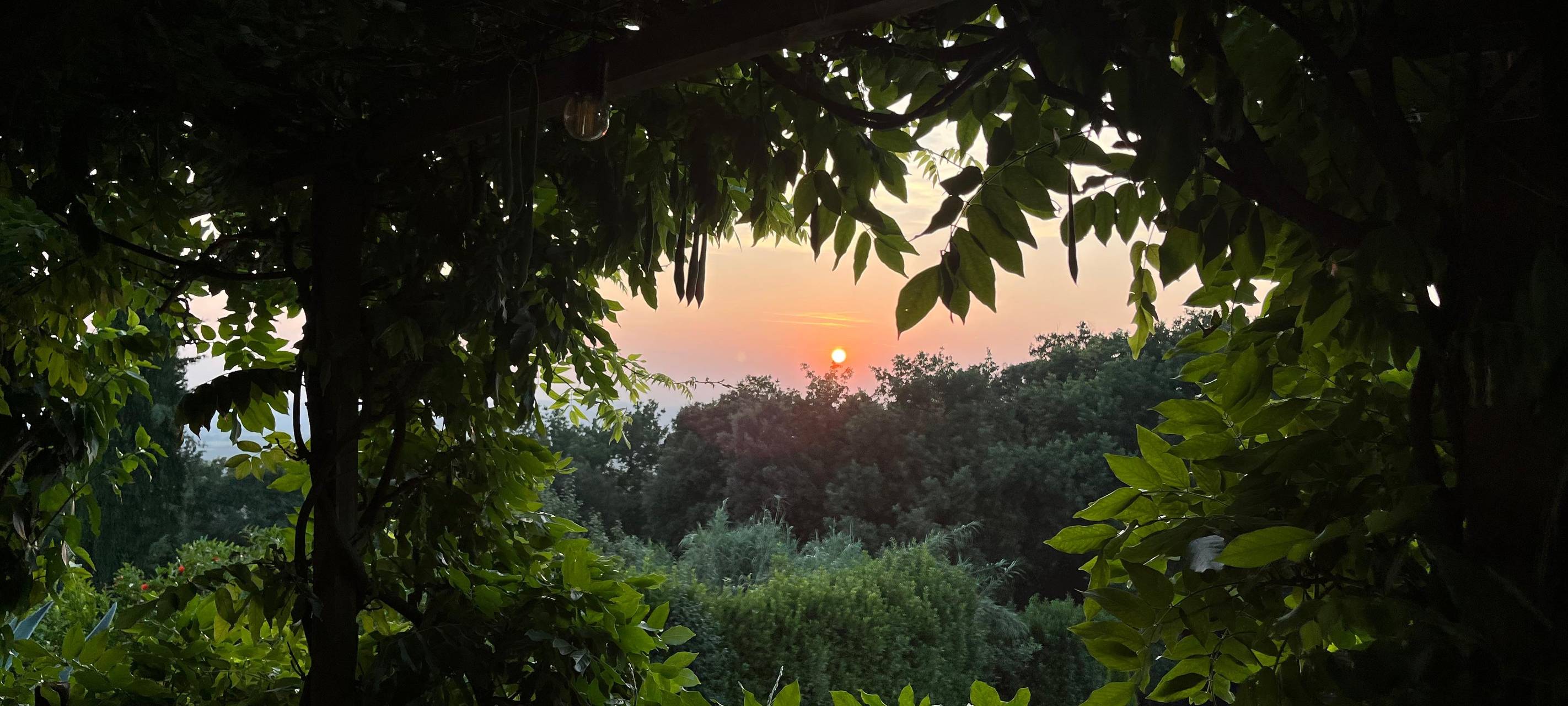 Für Häckselaktion in Geseke anmelden