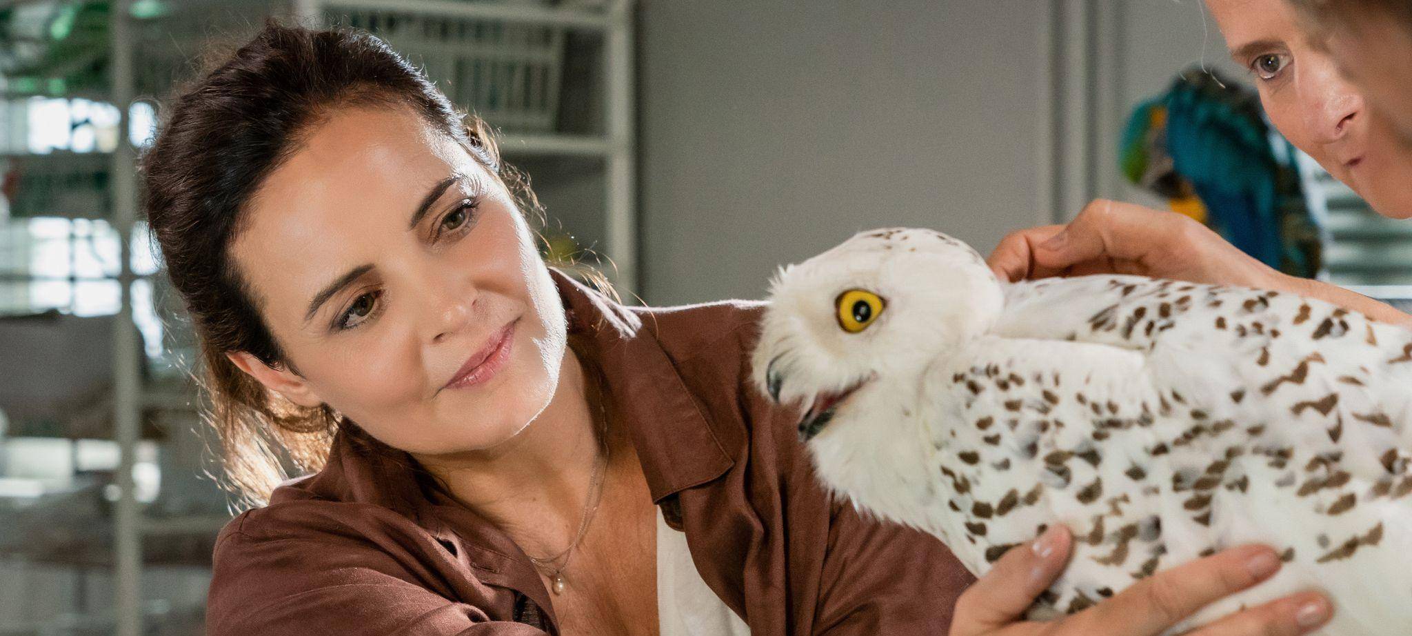 TV Ausblick - ARD - "Tierärztin Dr. Mertens"