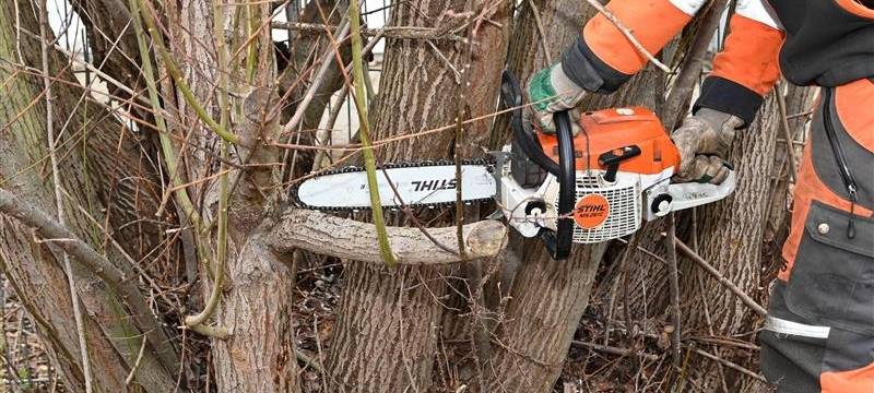 Baumarbeiten in Neuengeseke: Sperrung der K23