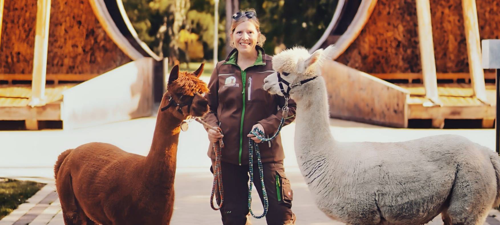 Alpakas & Kettensägen: Das bietet der Frühlingsmarkt im Maxipark in Hamm