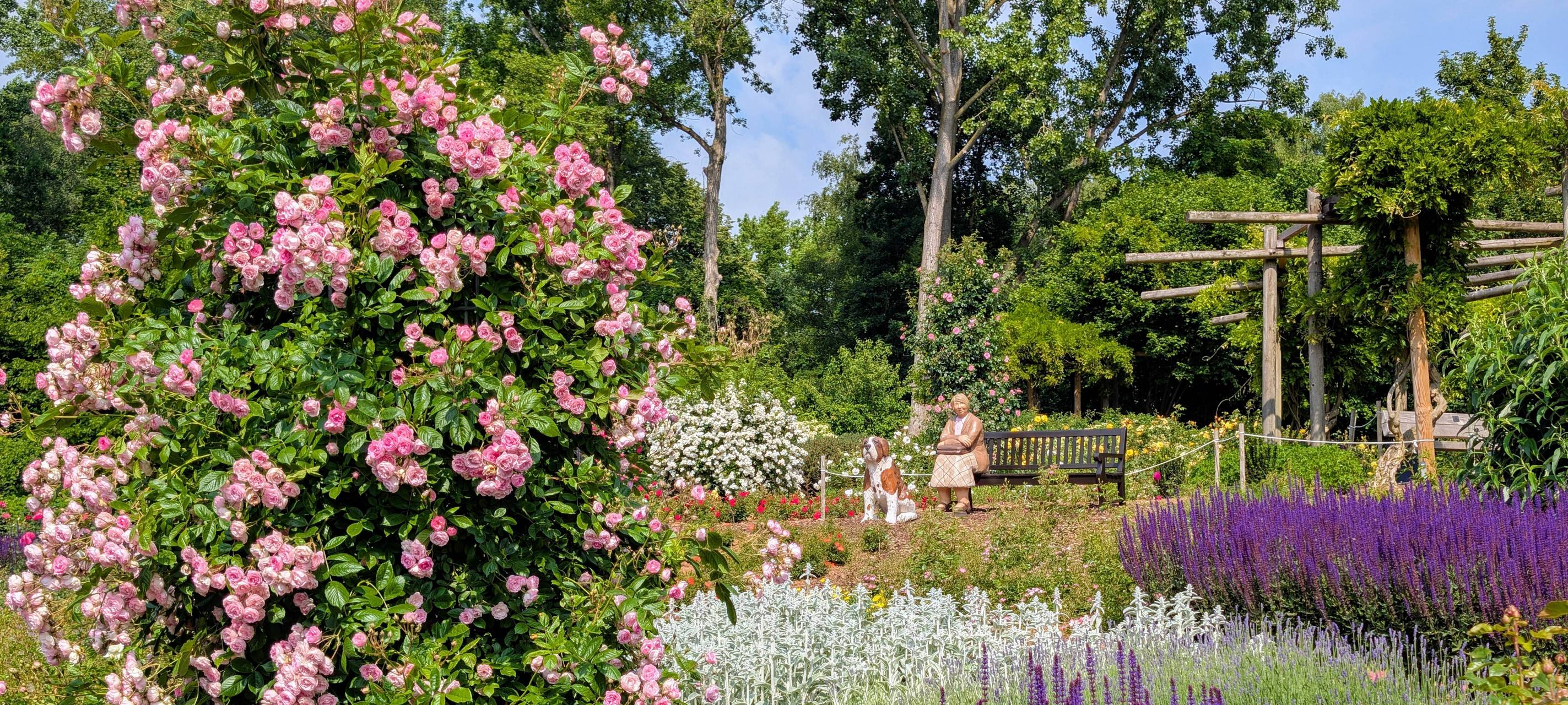 Alpakas & Kettensägen: Das bietet der Frühlingsmarkt im Maxipark in Hamm