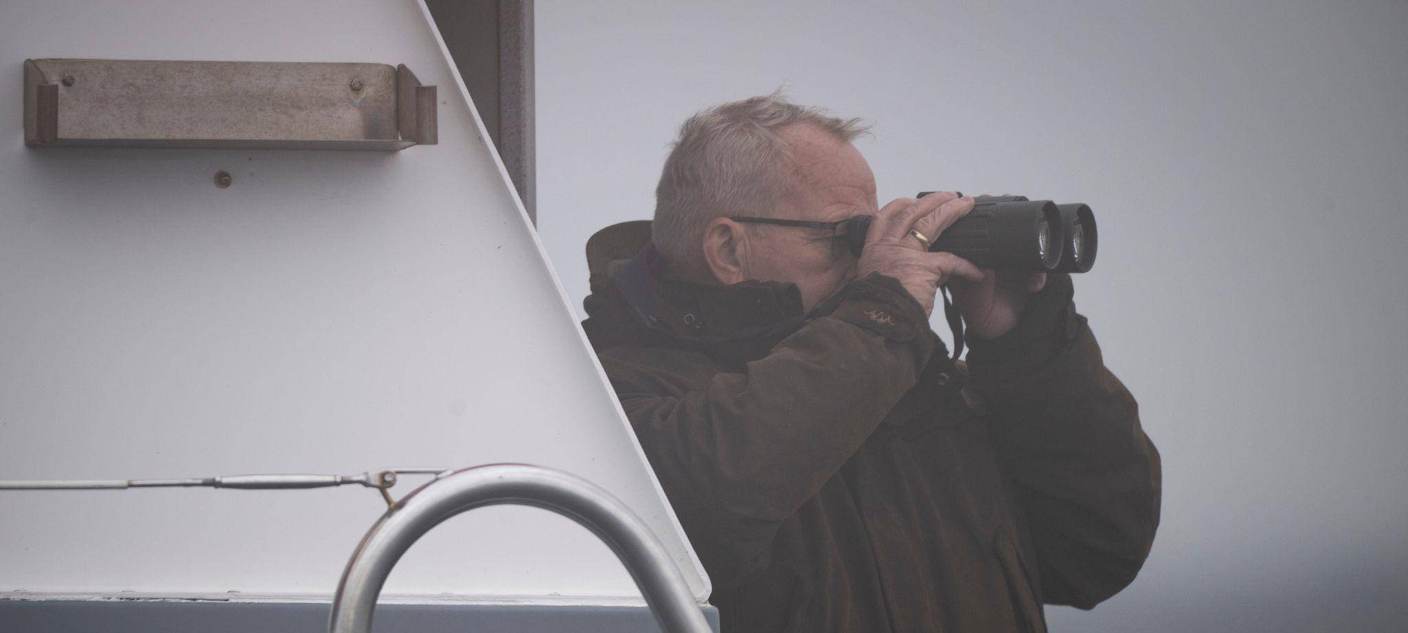 Rettungsaktion für Buckelwal