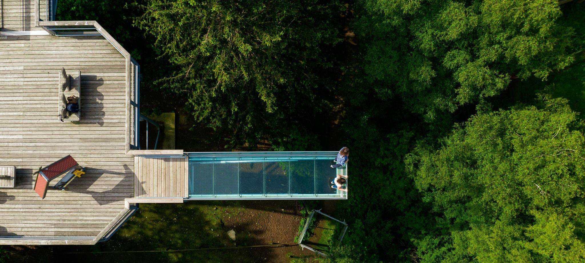 Gläserner Skywalk auf dem Baumwipfelpfad «Heide Himmel»