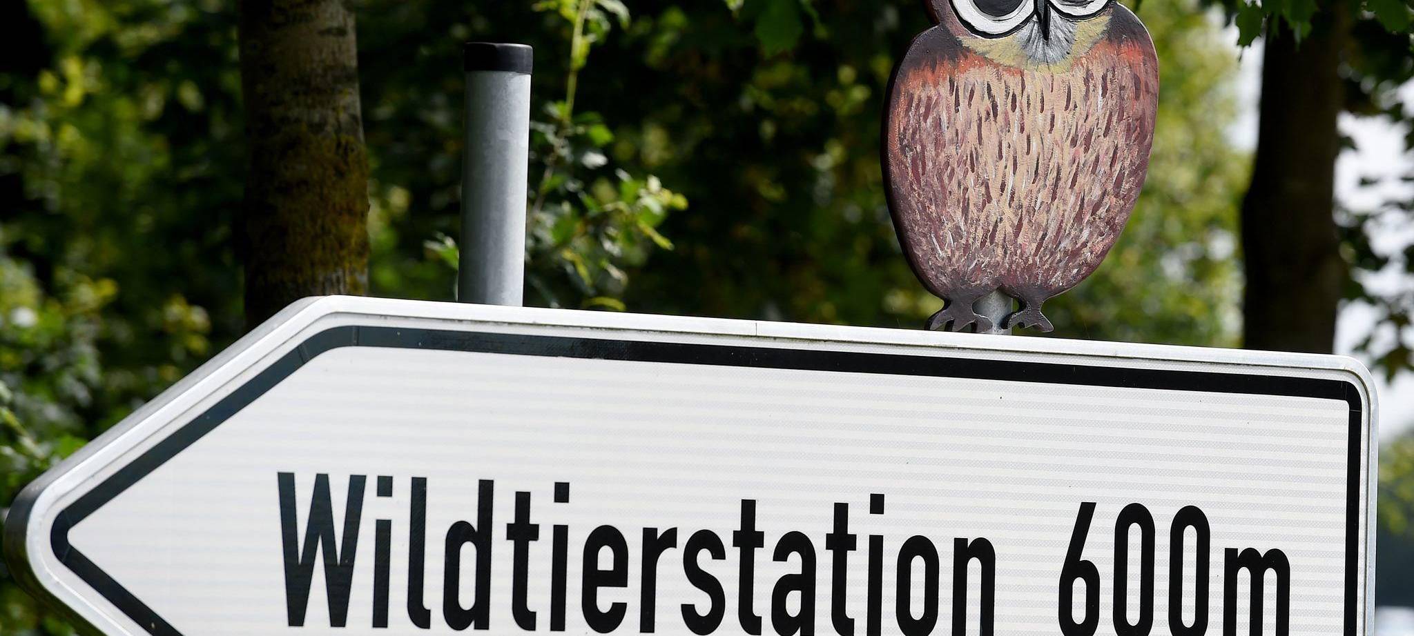 Wildtierstation Sachsenhagen (Archivbild)