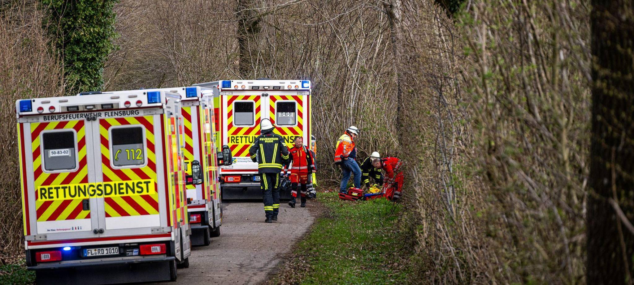 Baum umgestürzt – Drei Tote bei Flensburg
