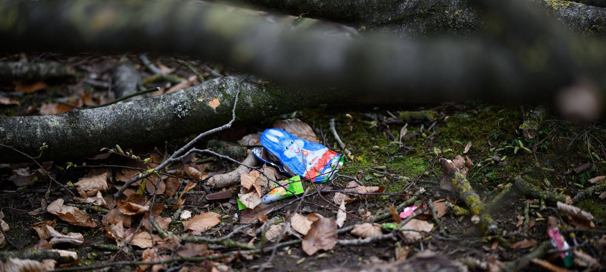 Baum umgestürzt - Drei Tote bei Flensburg