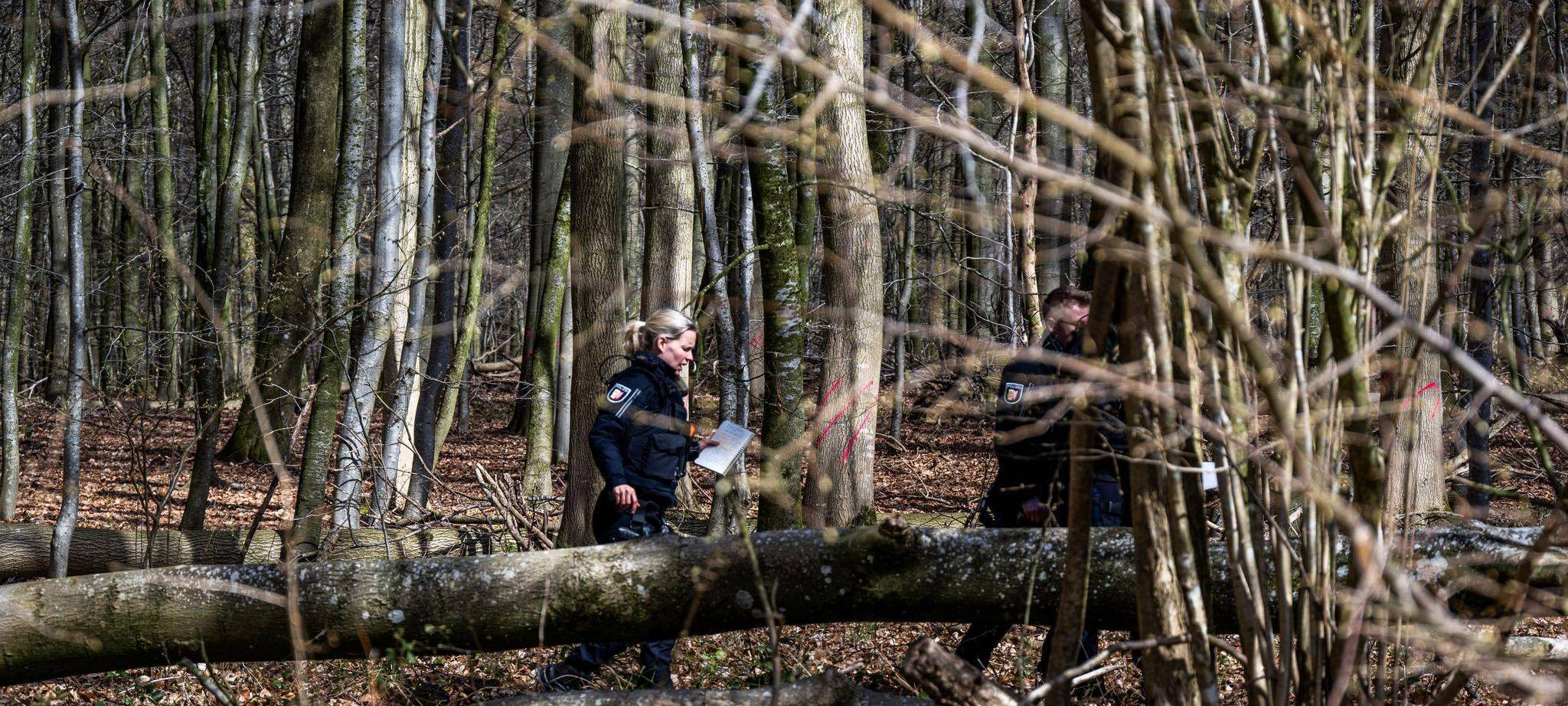 Baum umgestürzt – Drei Tote bei Flensburg