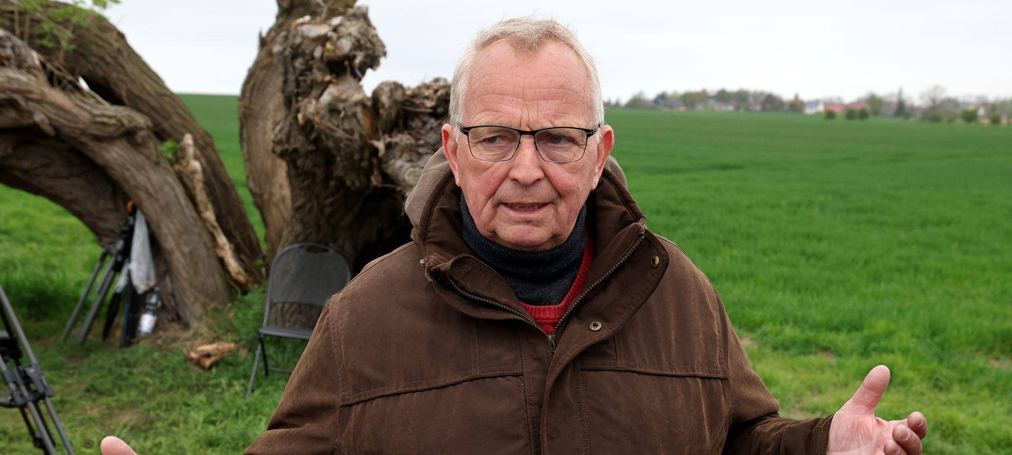 Rettungsaktion für den Buckelwal