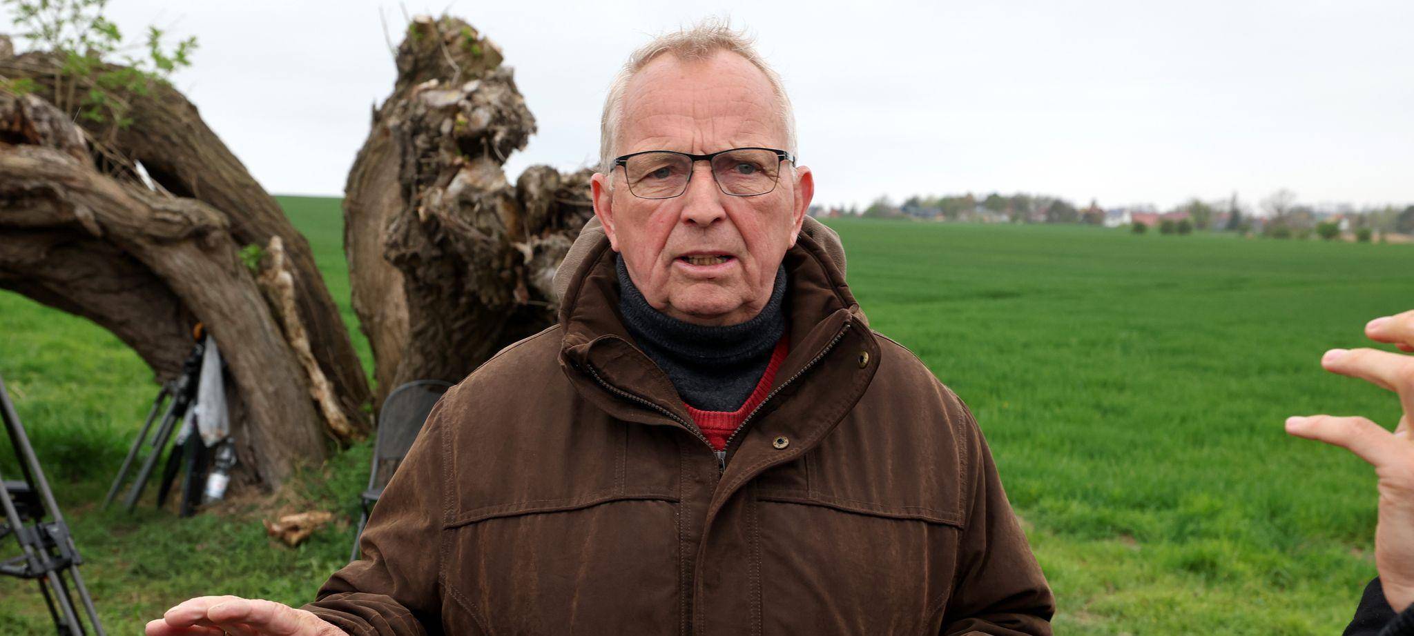 Rettungsaktion für den Buckelwal