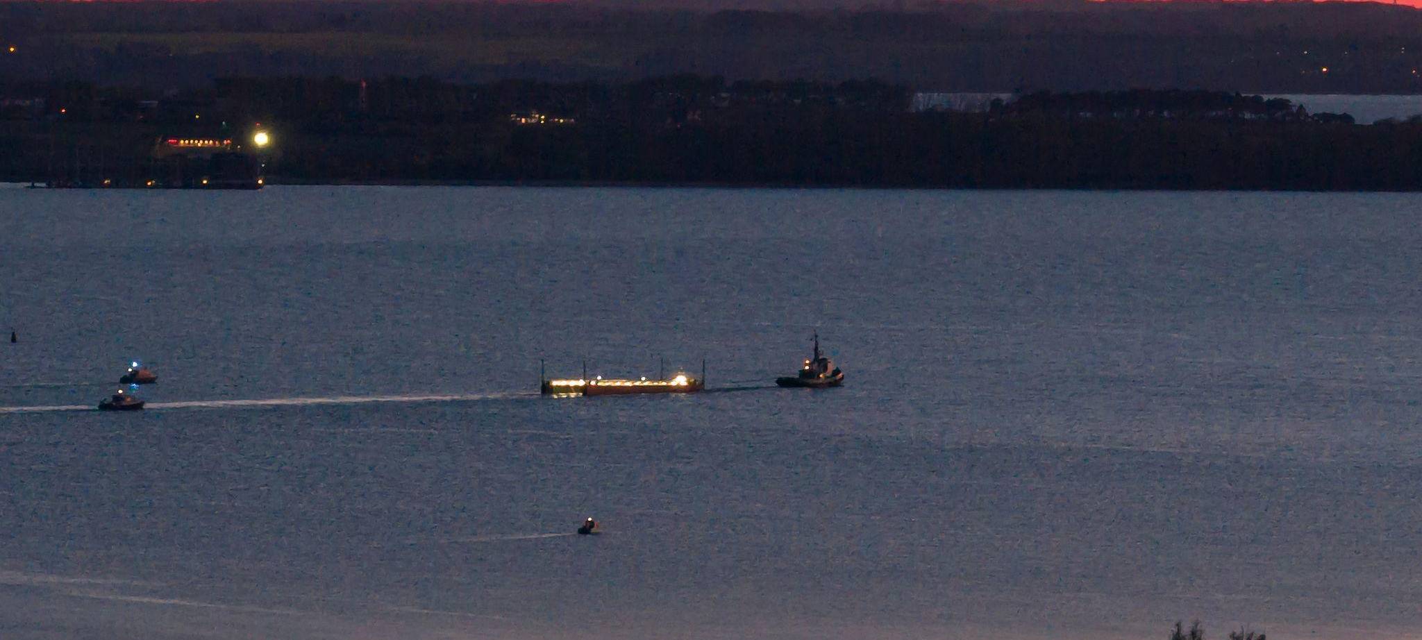 Weitere Entwicklung zum Buckelwal in der Ostsee