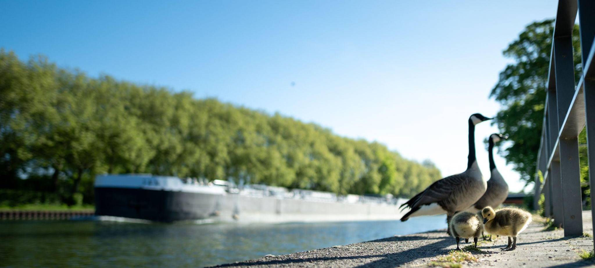 Wetter in Nordrhein-Westfalen