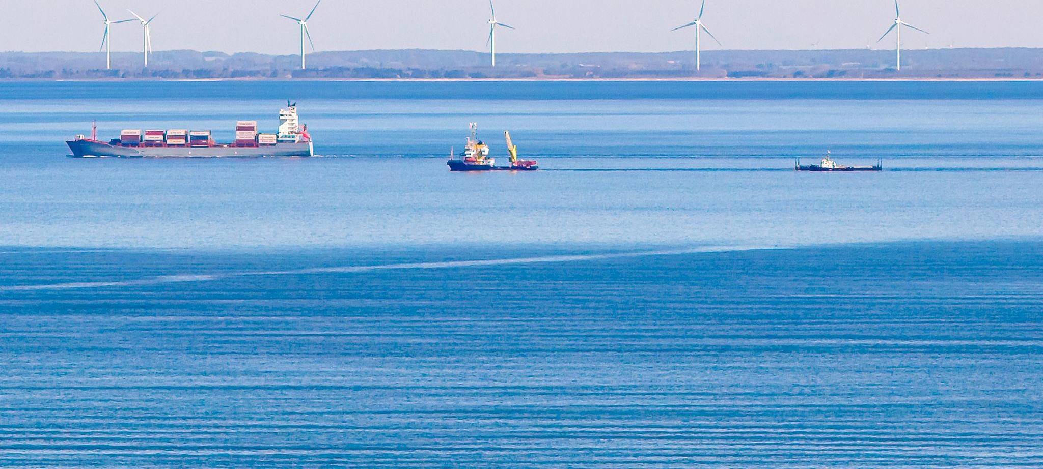 Weitere Entwicklung zum Buckelwal in der Ostsee