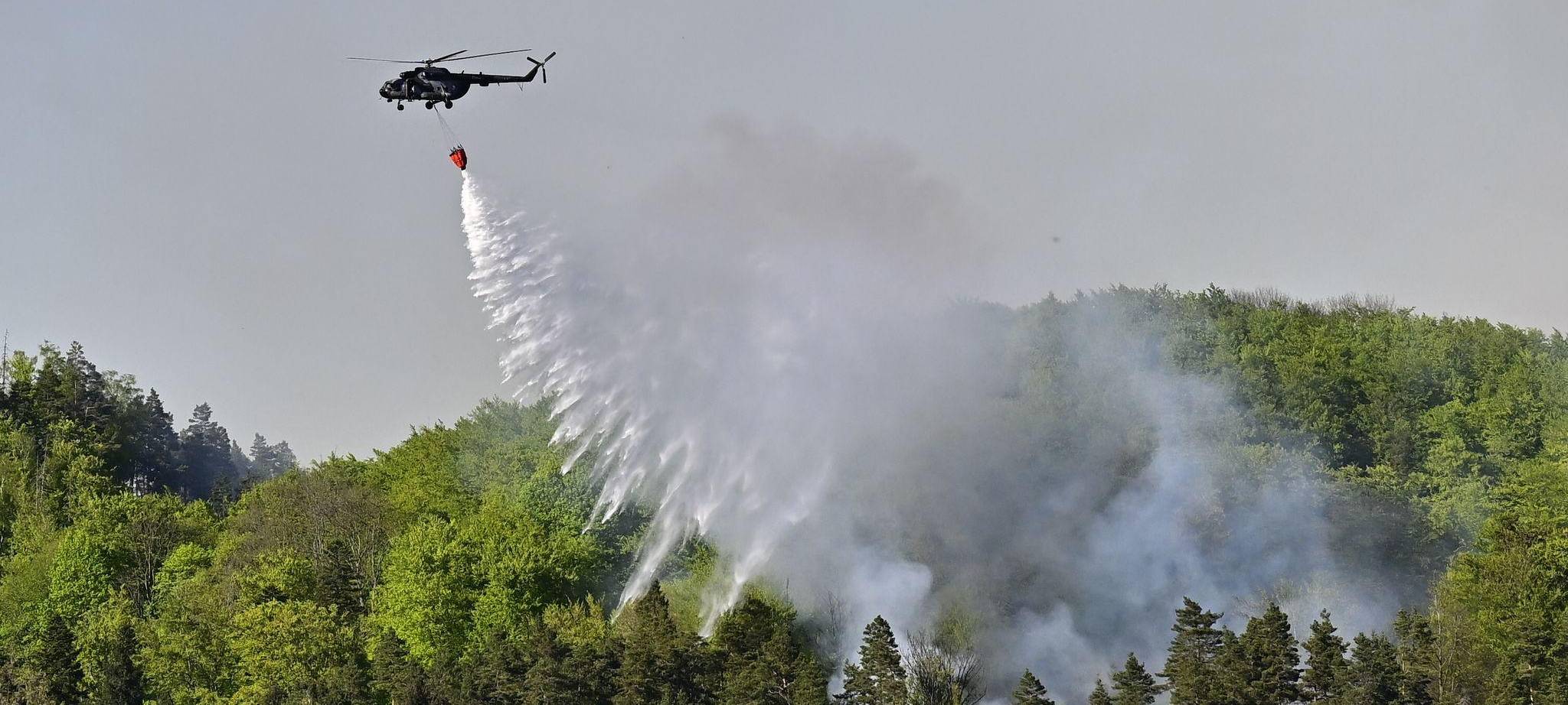 Waldbrand im Nationalpark Böhmische Schweiz