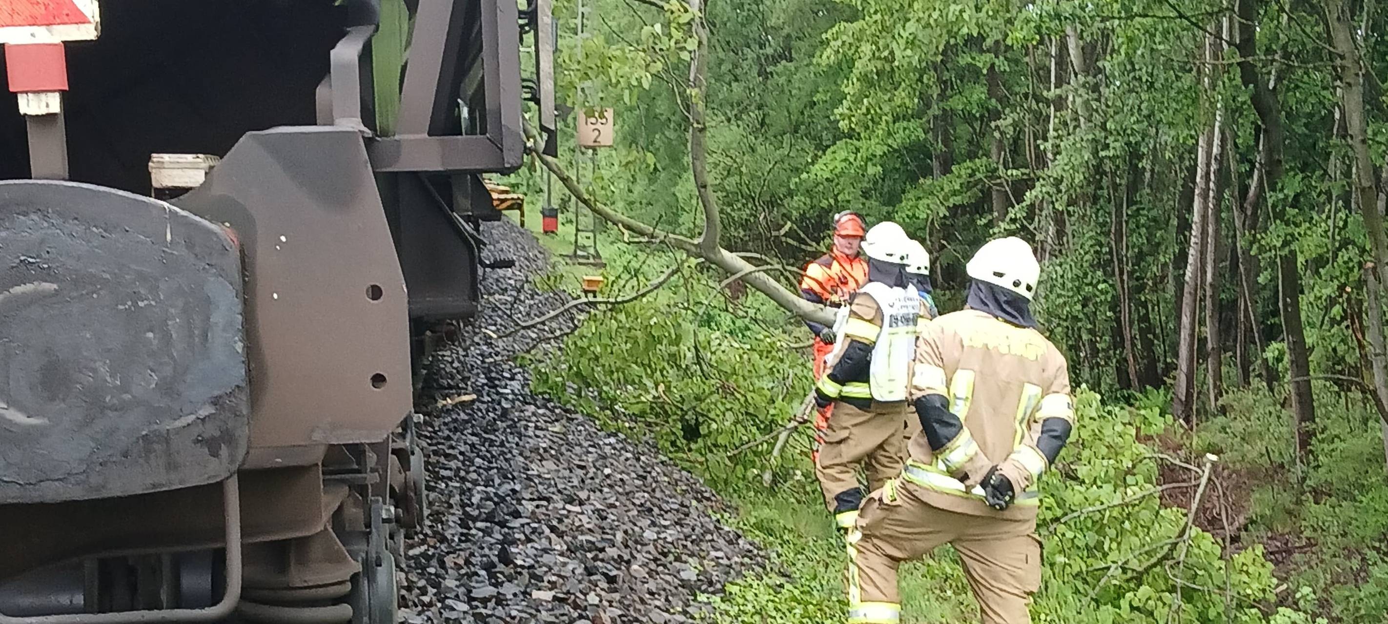 Baum in Oberleitung: Zugausfälle bei Dedinghausen