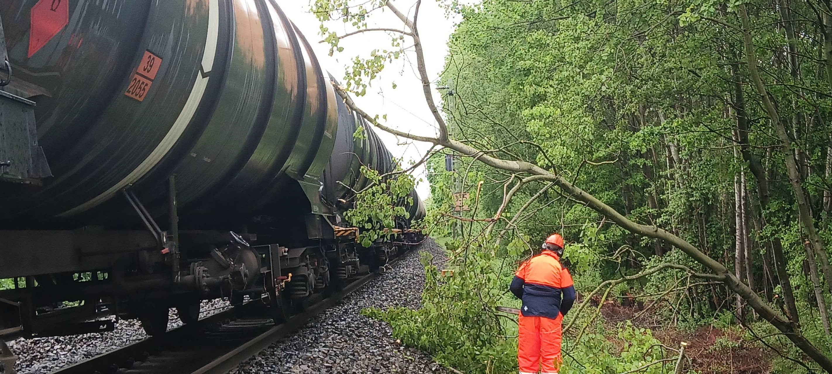 Baum in Oberleitung: Zugausfälle bei Dedinghausen
