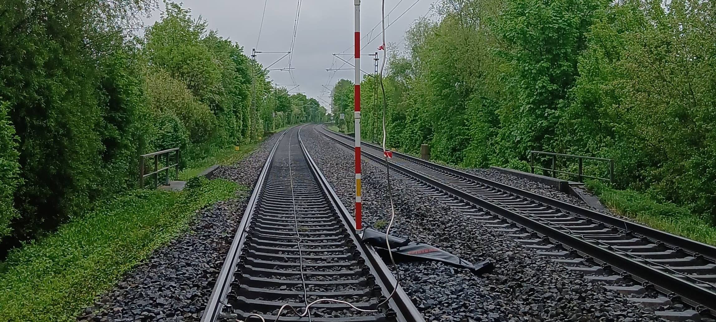Baum in Oberleitung: Zugausfälle bei Dedinghausen