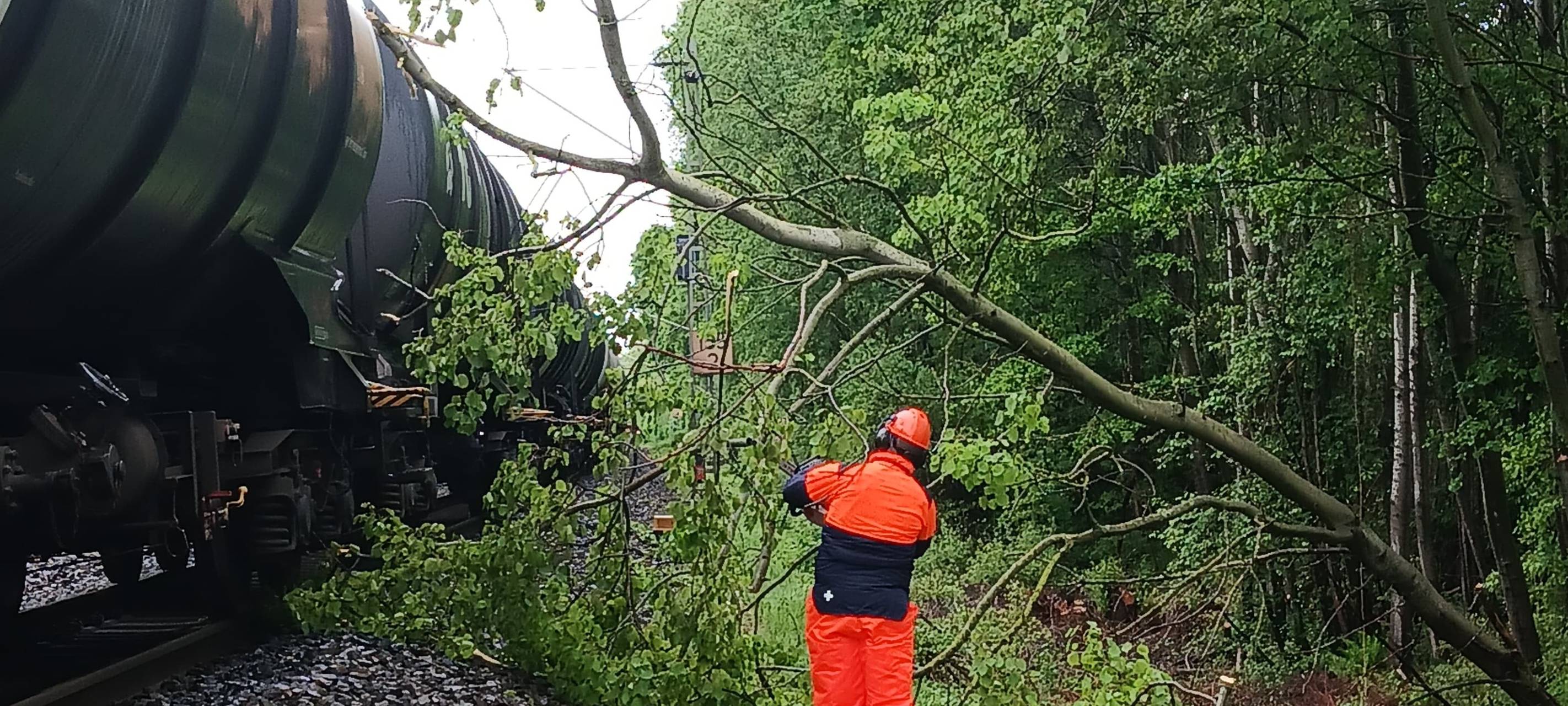 Baum in Oberleitung: Zugausfälle bei Dedinghausen