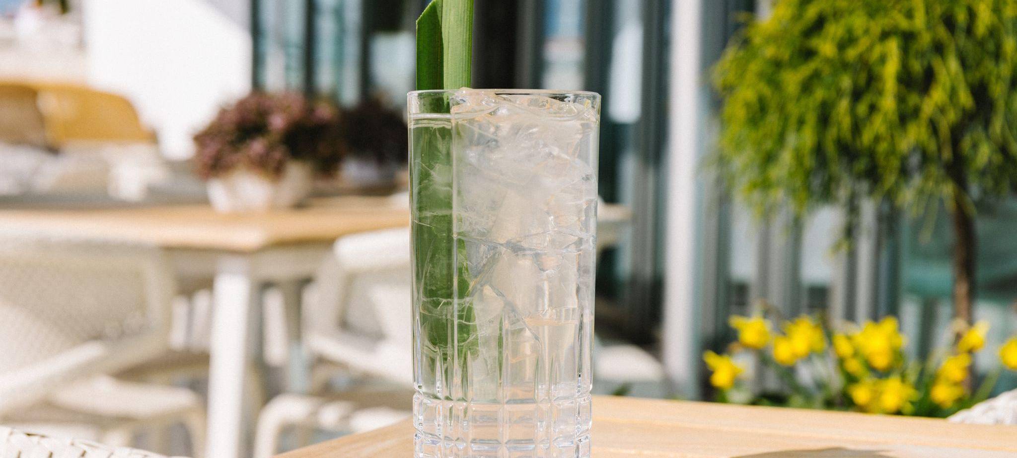 Coconut Water Cooler