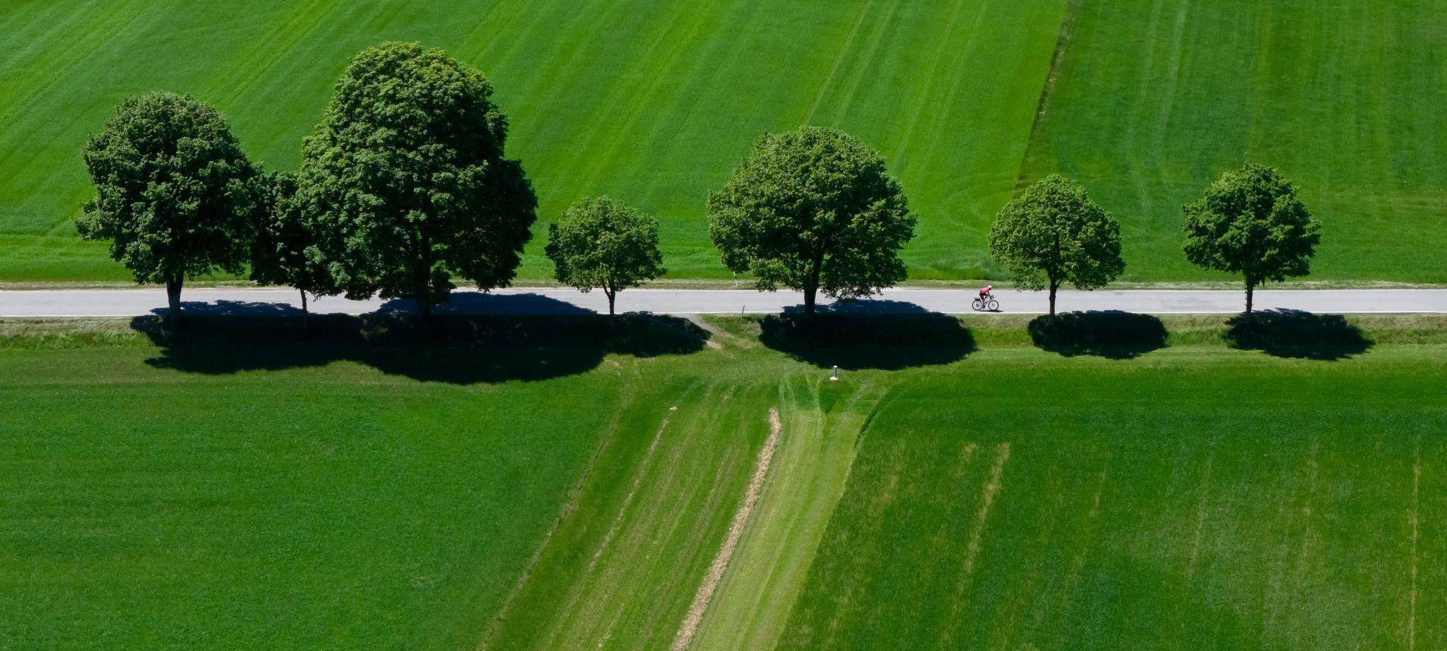Sonne in Bayern