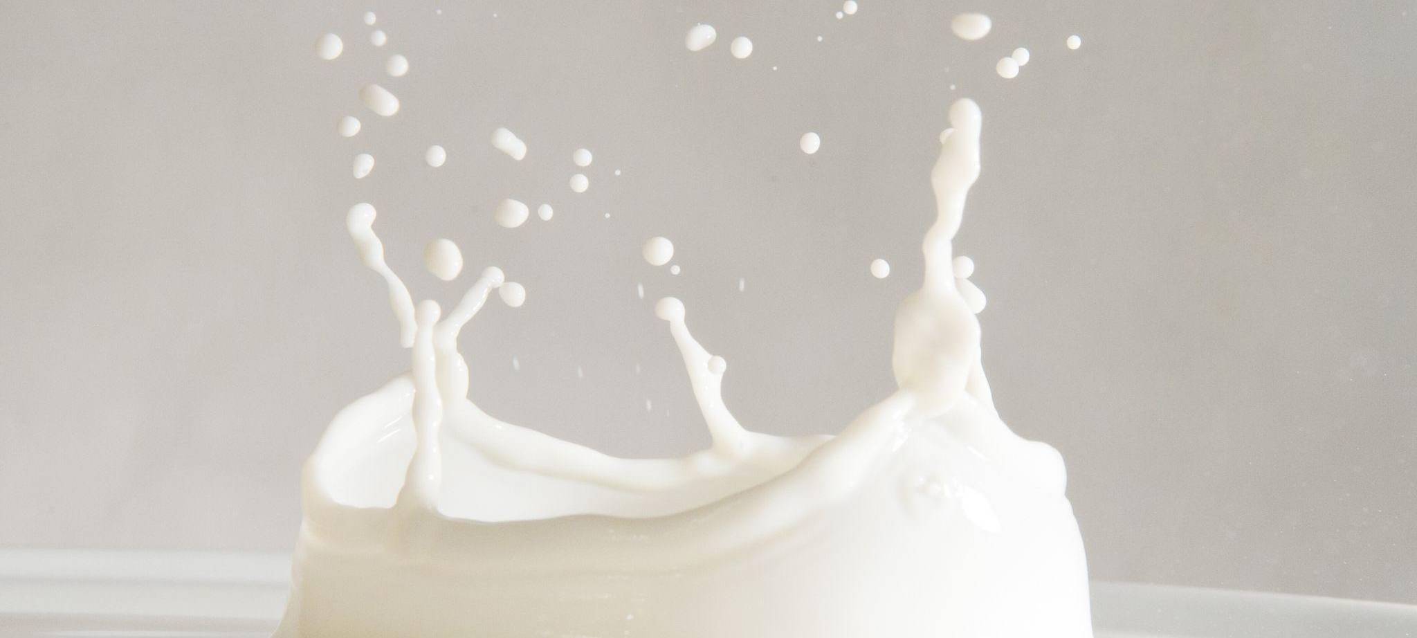 Milch spritzt in einem Glas