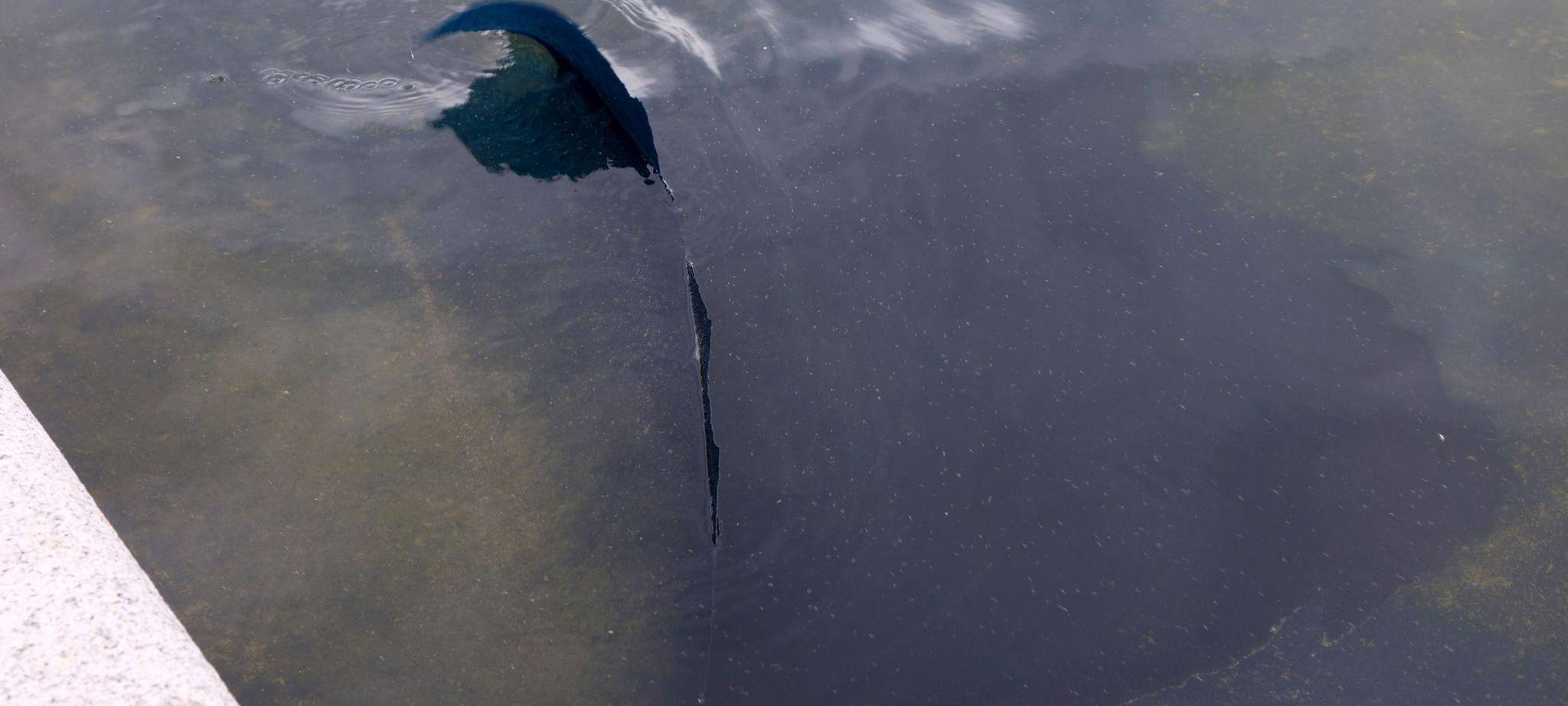 Reflecting Pool am Lincoln Memorial