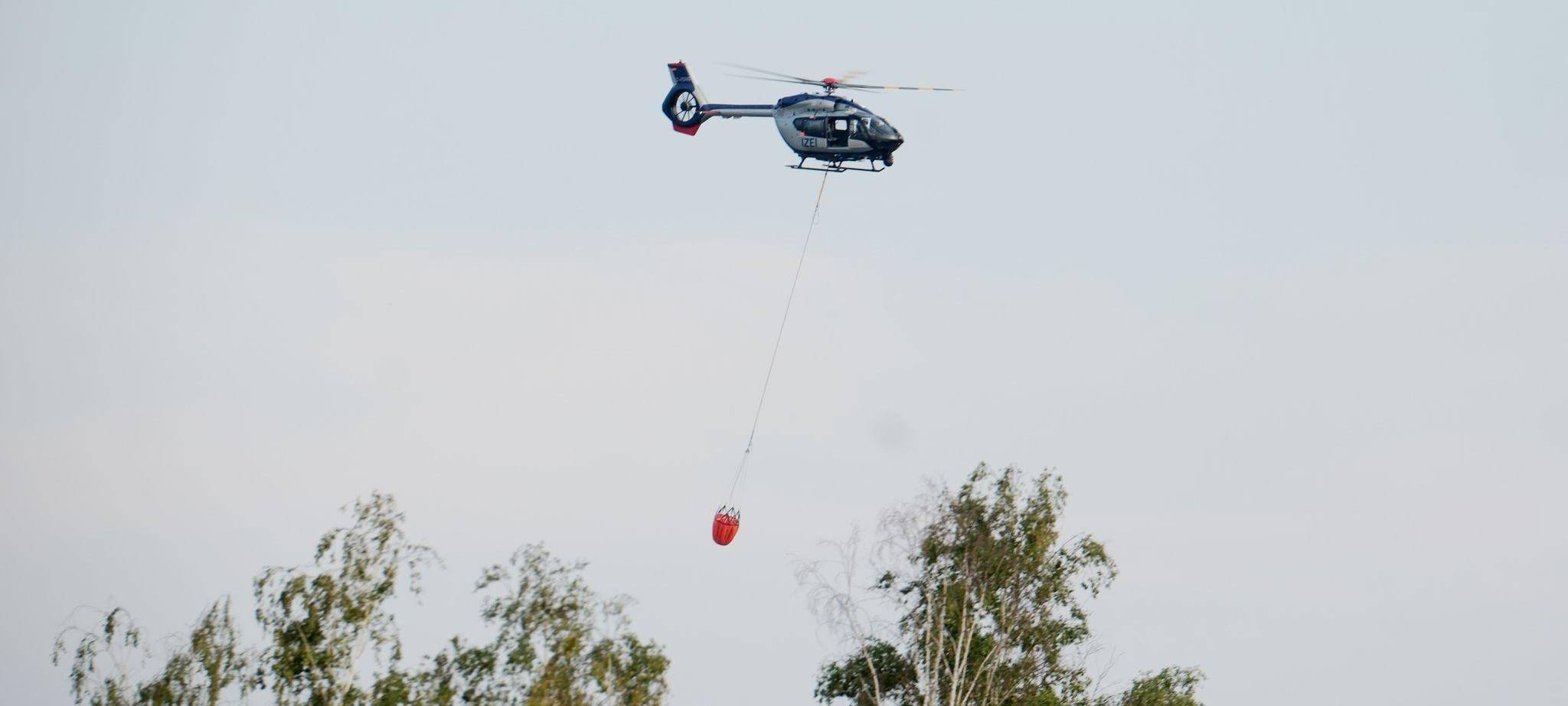 Waldbrand Gohrischheide
