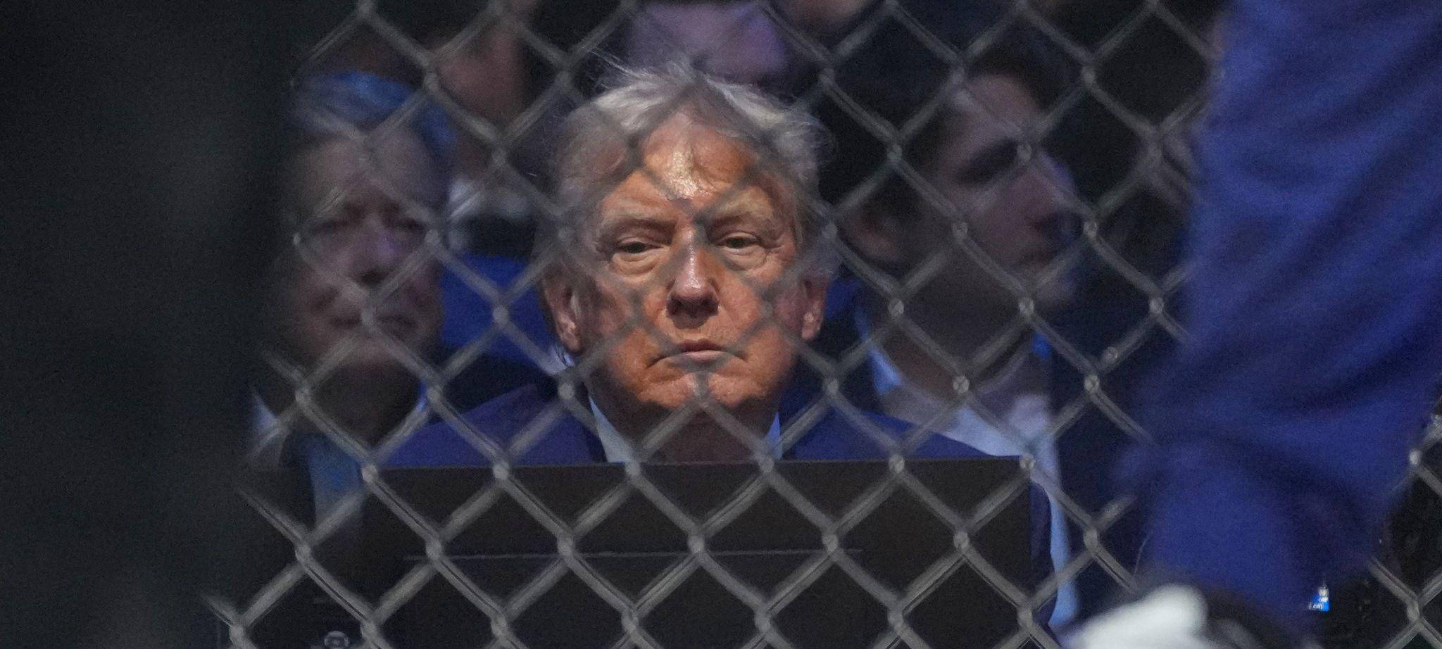 Donald Trump verfolgt Käfigkämpfe