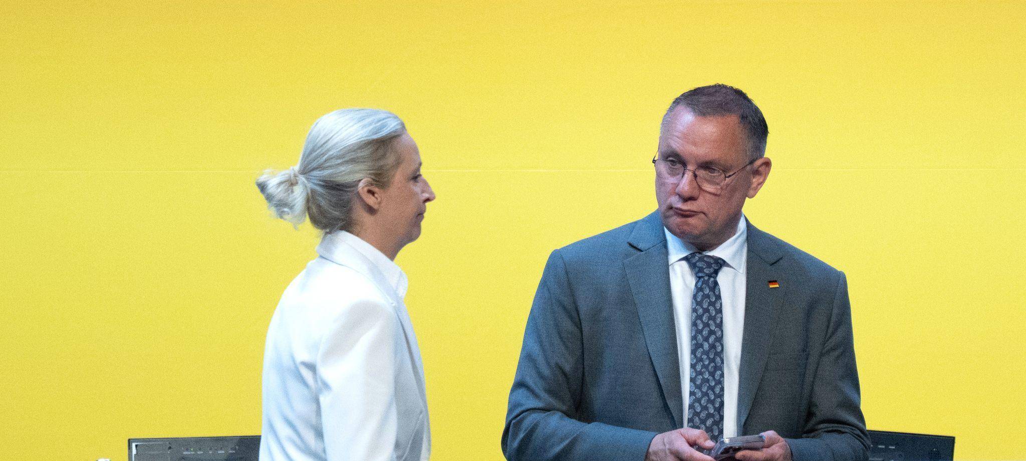 Bundesparteitag der AfD