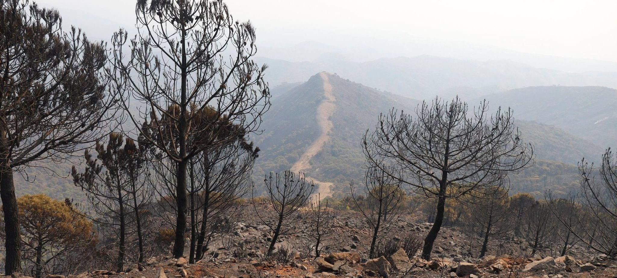 Waldbrand in Spanien