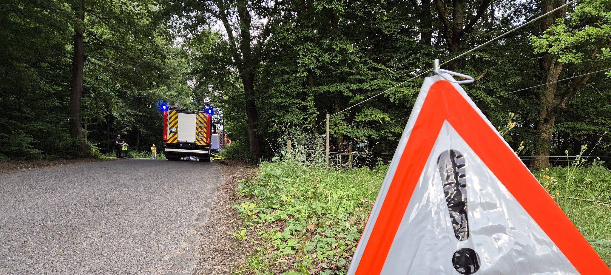 Feuerwehr bei Waldbrand-Einsatz