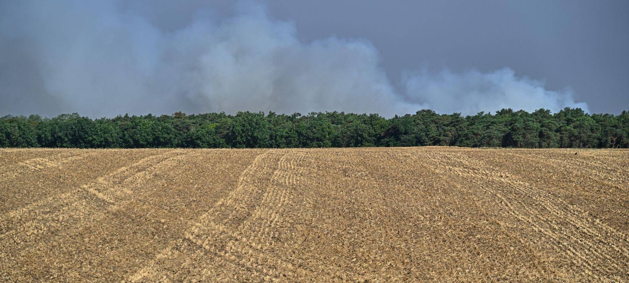 Waldbrand bei Paris