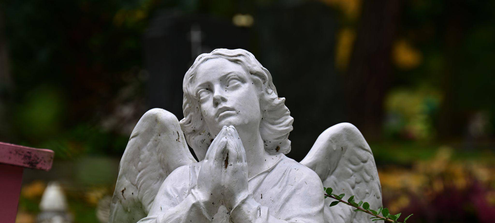 Friedhof in Erfurt