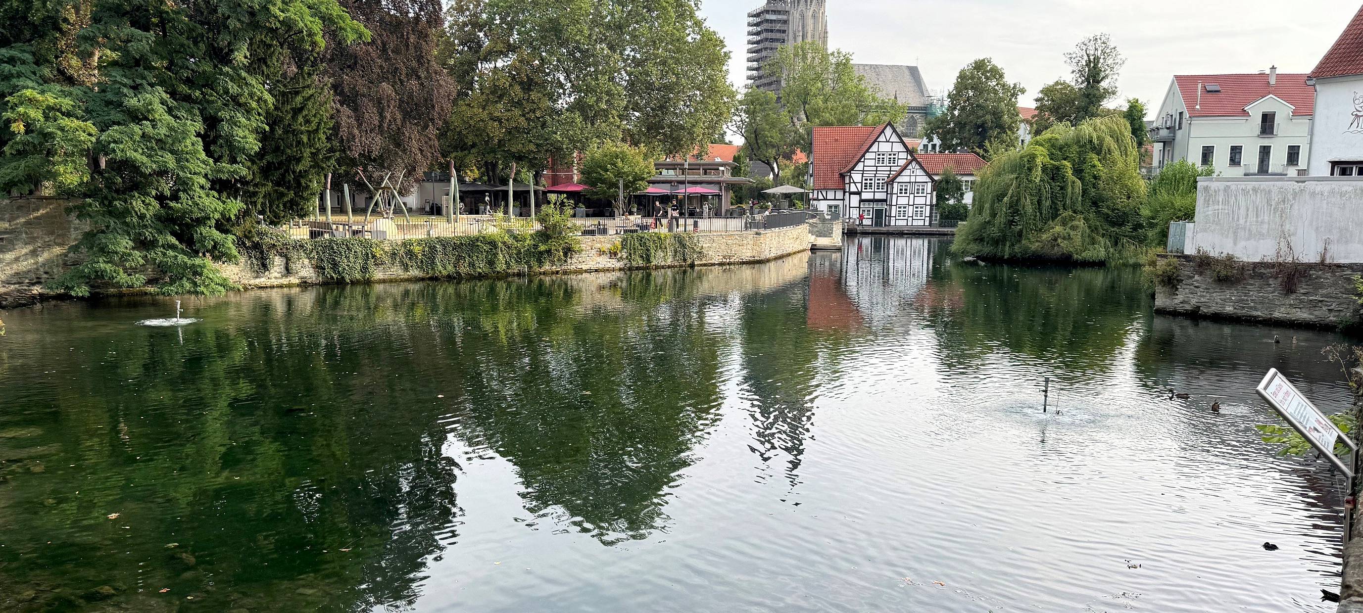 Soest: Warnung vor Algen im Großen Teich