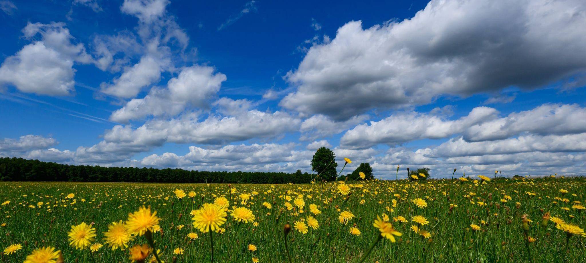 Wetter in Brandenburg