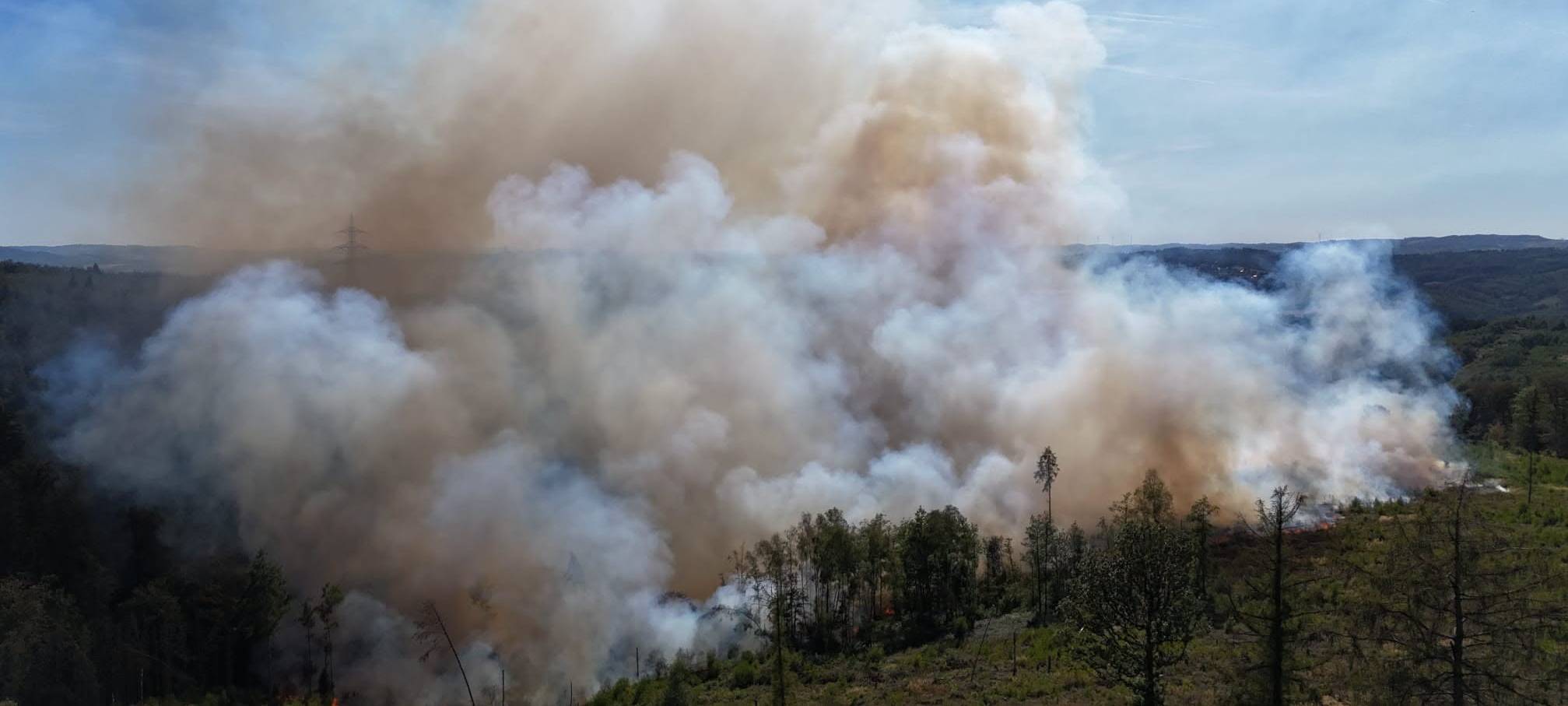 Ursache nach Waldbrand am Sorpesee noch unklar