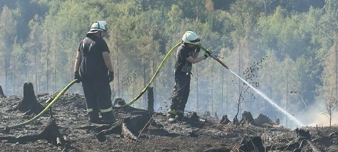 Ursache nach Waldbrand am Sorpesee noch unklar