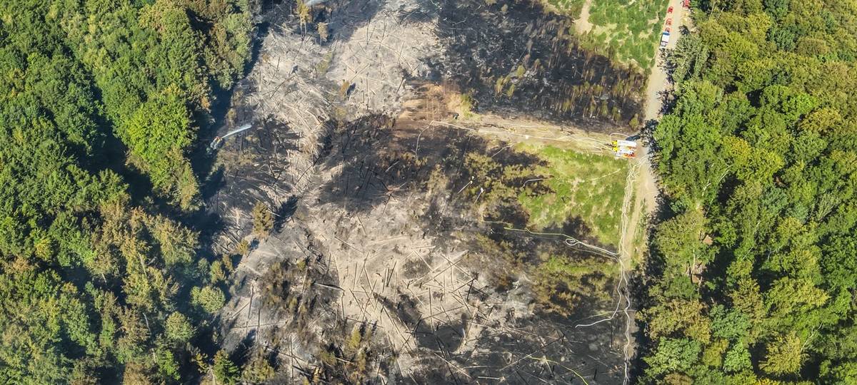 Live-Ticker: Großeinsatz wegen Waldbrand am Möhnesee