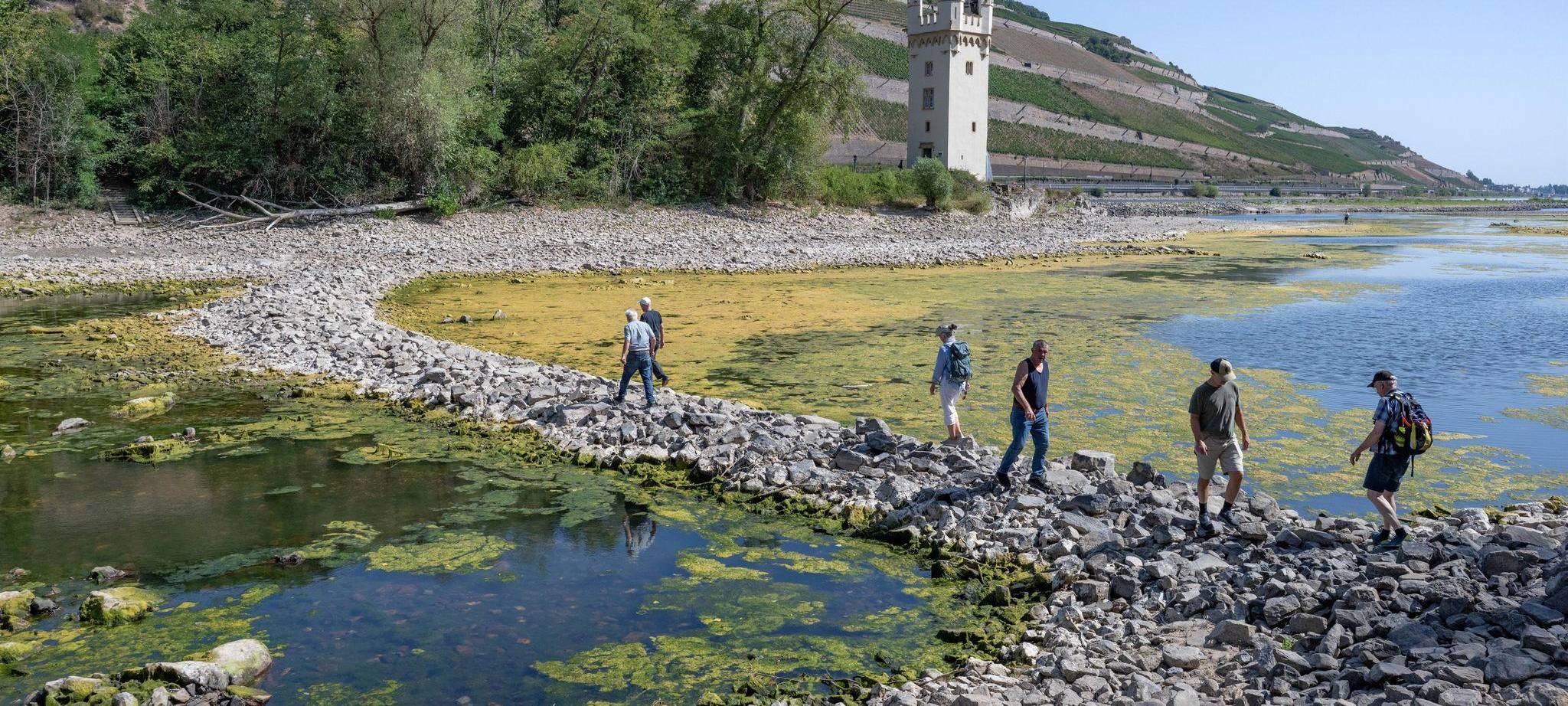 Extremes Niedrigwasser auf dem Rhein