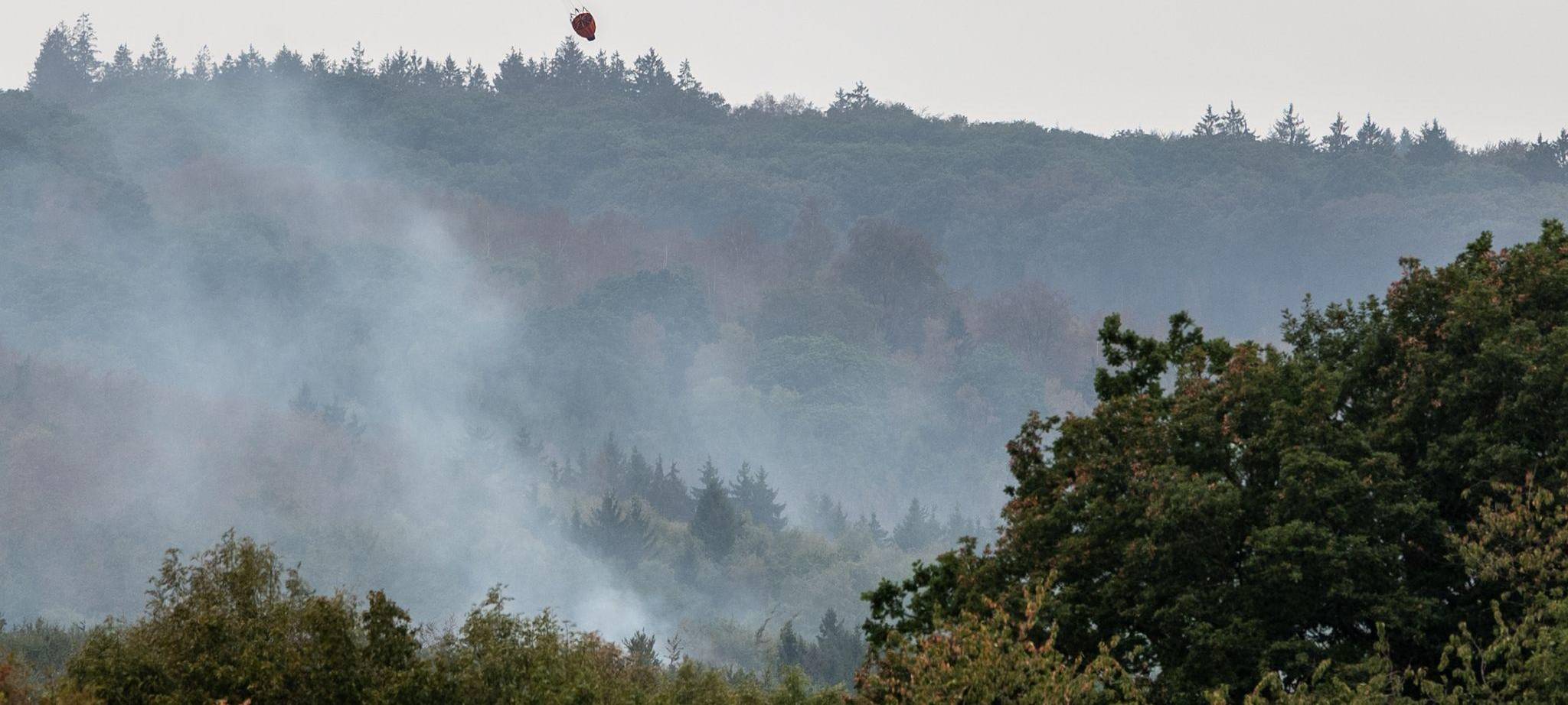 Waldbrand im Hürtgenwald