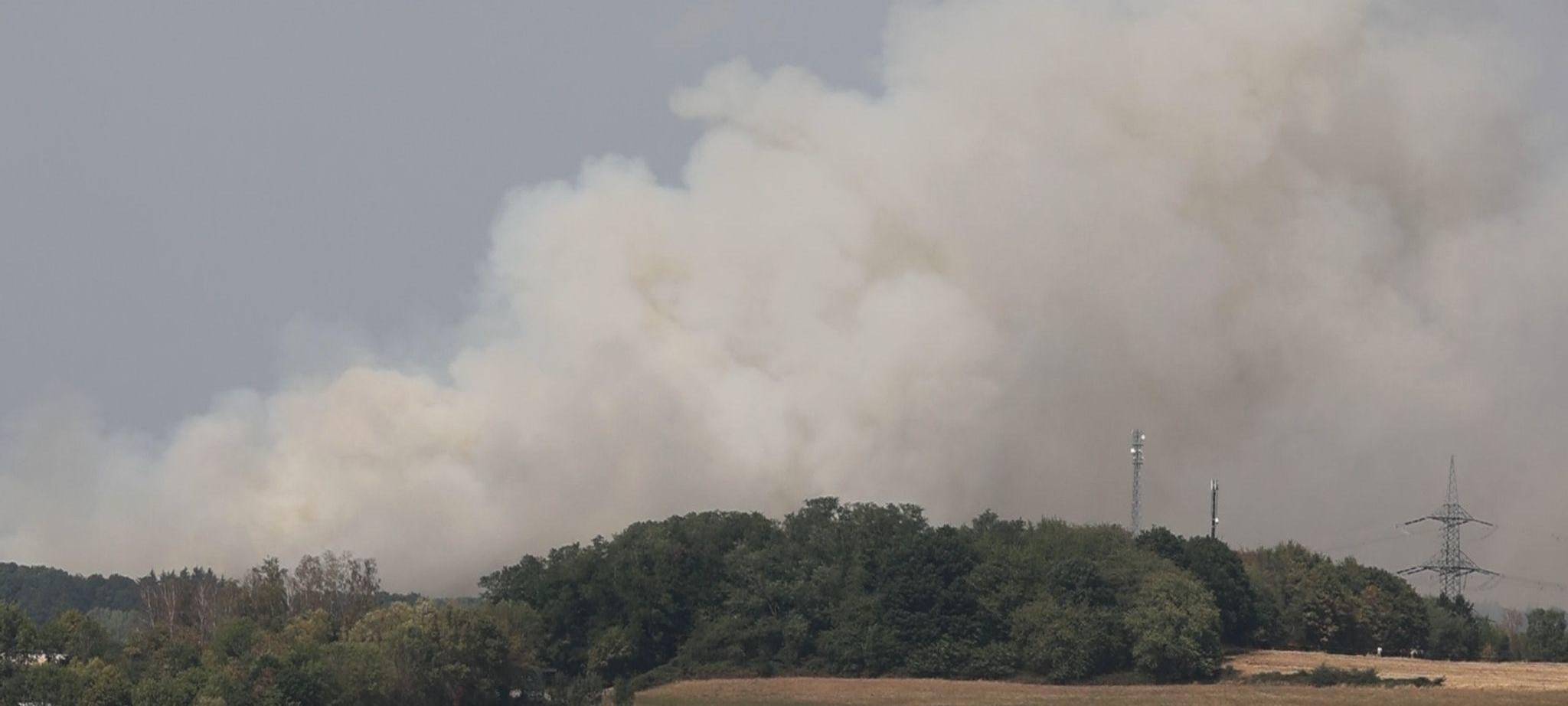 Waldbrand im Saarland